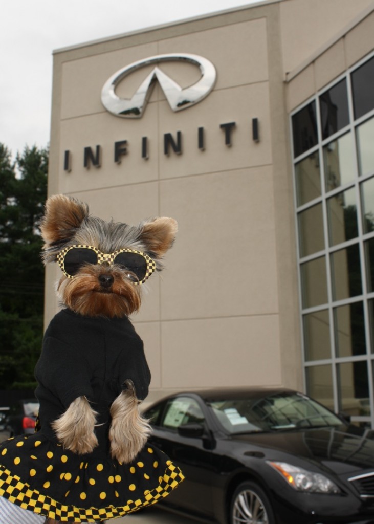 Here's one of the sponsors of "Super Pet Adoption Day."  I *heart* Infiniti!