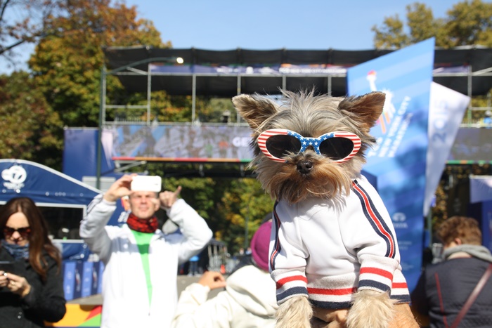 In my hood hanging out at the finish line of the NYC Marathon. Arf-Arf!