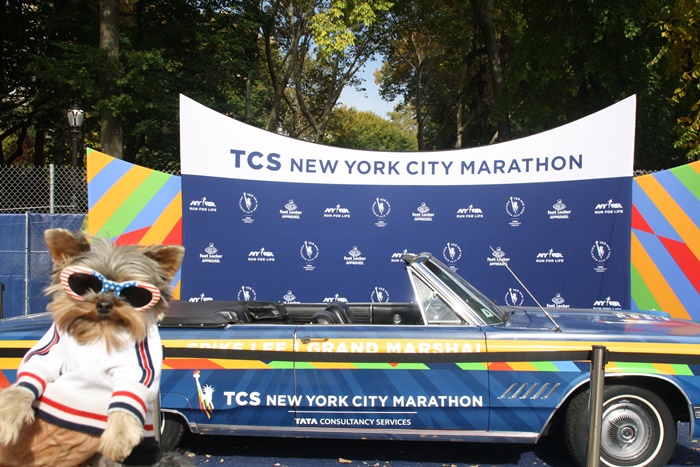 The only way one should do the NY Marathon? In Spike Lee's car.  BOL!