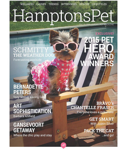 Hamptons Pet featuring Schmitty